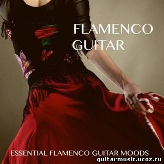 VA - Flamenco Guitar (2014)