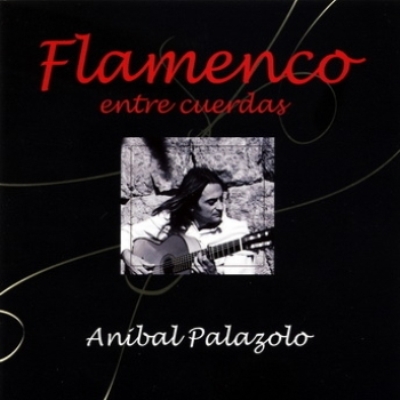 Anibal Palazolo - Flamenco entre cuerdas